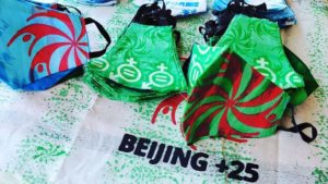 Read more about the article Monthly Beijing+25 Webinar Central Africa Region