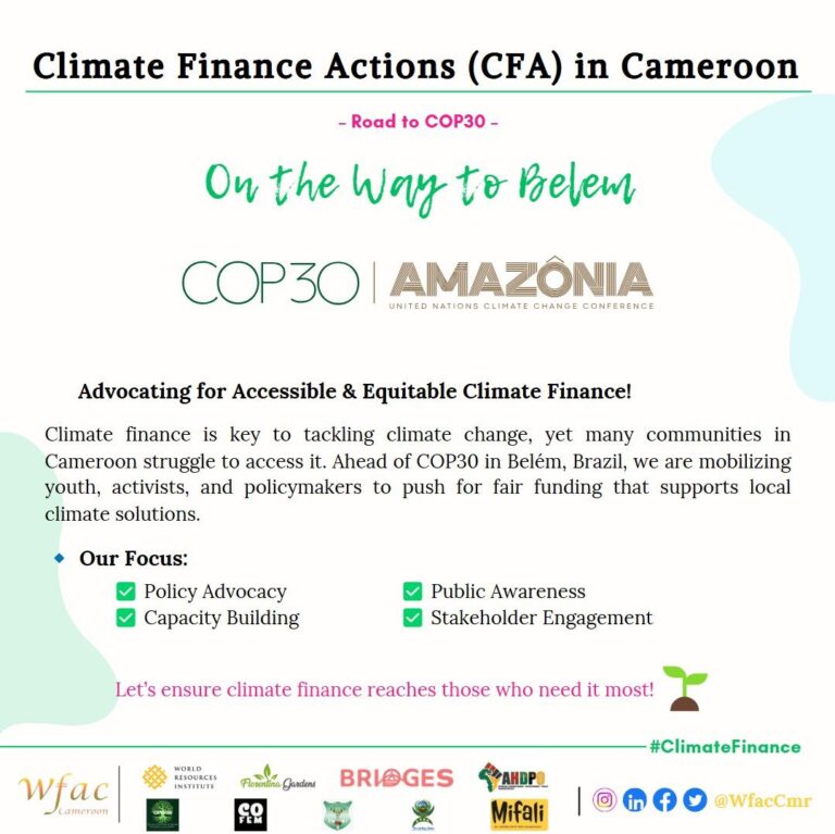 Read more about the article Climate Finance Actions (CFA) in Cameroon – ROAD TO COP30