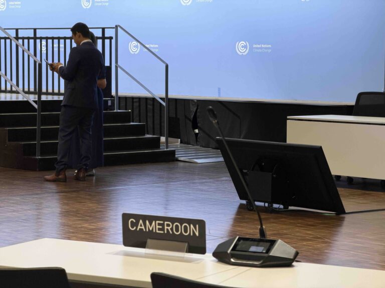 Read more about the article Wfac to Champion Gender-Just Climate Action at UNFCCC SB64 in Bonn